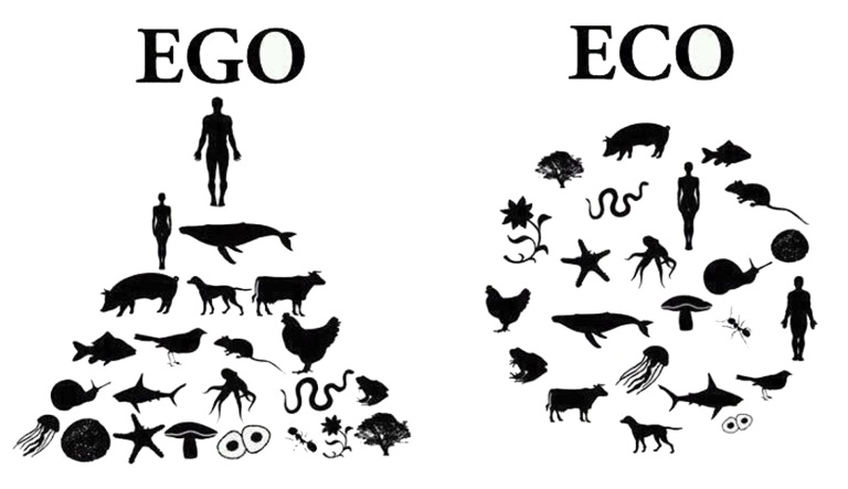 ego-eco blog 7 addition